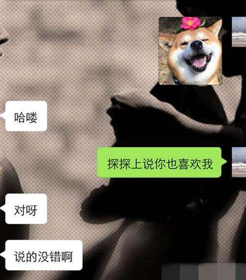 实战聊天案例：这么聊天，女生会主动约你-撩妹世界|免费书籍在线阅读