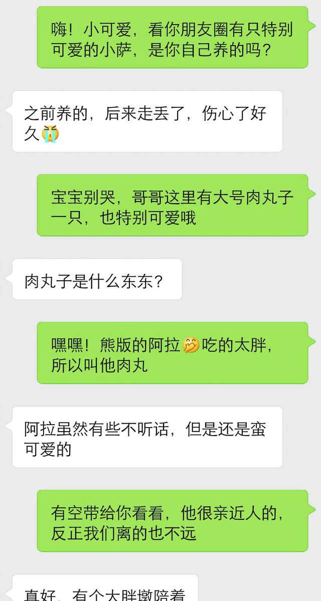 高情商男人撩妹技巧：这四个话题，轻松提升女生的好感度-撩妹世界|免费书籍在线阅读