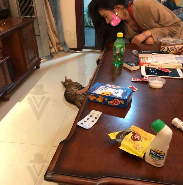 恋爱顶级技巧长篇狙击女生丨我与“小刘诗诗”长达一年的故事 恋爱顶级技巧长篇狙击女生丨我与“小刘诗诗”长达一年的故事