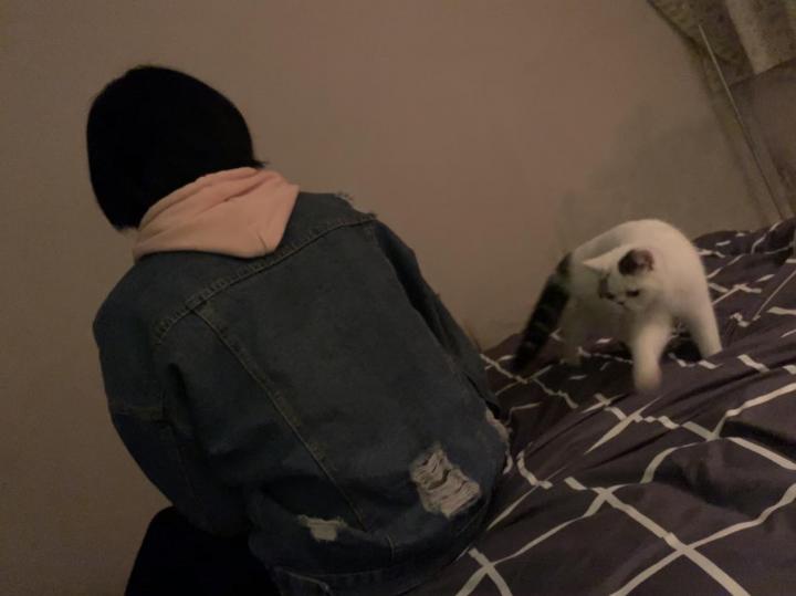 追女生实战约会聊天案例-凌晨五点五十分，她敲响了小武的房门。