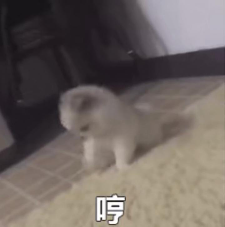 追女生实战约会聊天案例-凌晨五点五十分，她敲响了小武的房门。