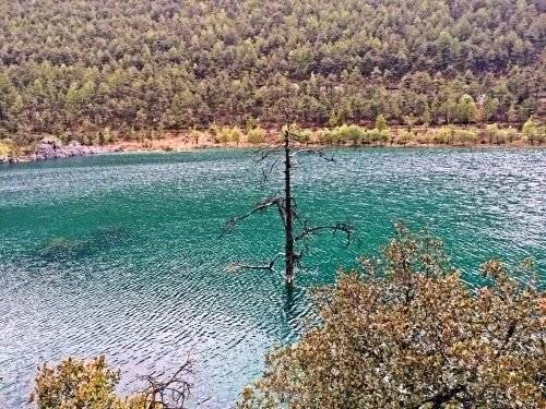 把妹实战聊天约会案例：丽江之旅，八天四段关系