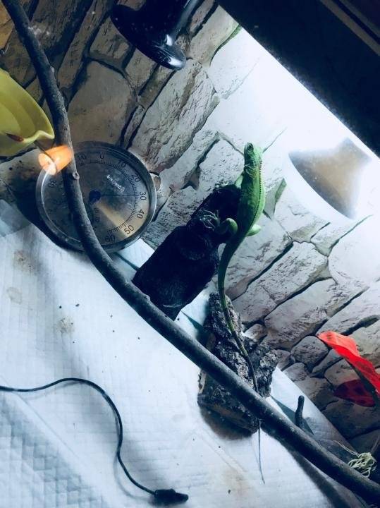 【追女生聊天约会实战速推】我花了16块打了四炮。