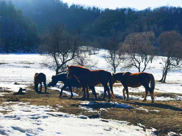 把妹高手过招,我居然也会被发好人卡!行,你给我等着… 把妹高手过招,我居然也会被发好人卡!行,你给我等着…