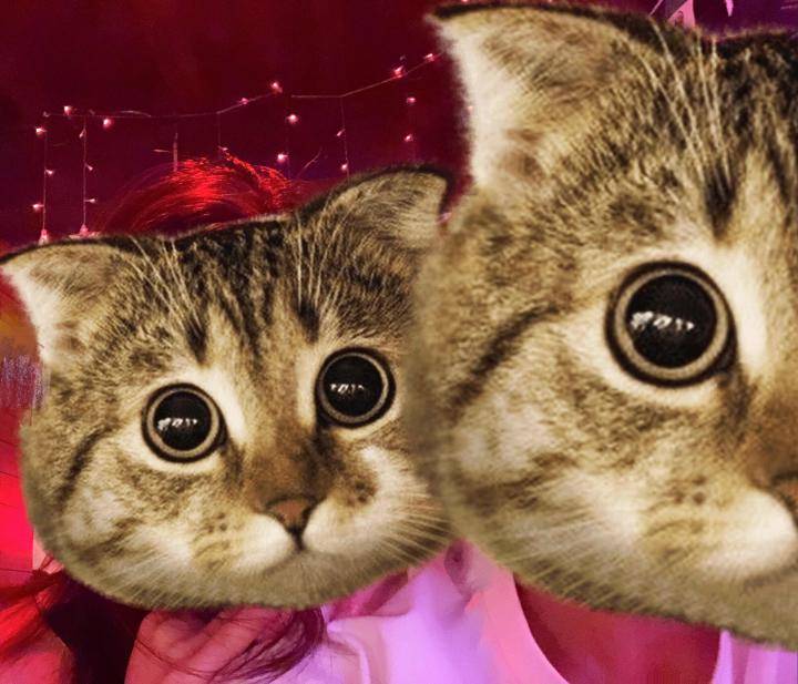 把妹案例-揭秘！凌晨一点多约会结束，她还不回家，原来是这意思啊