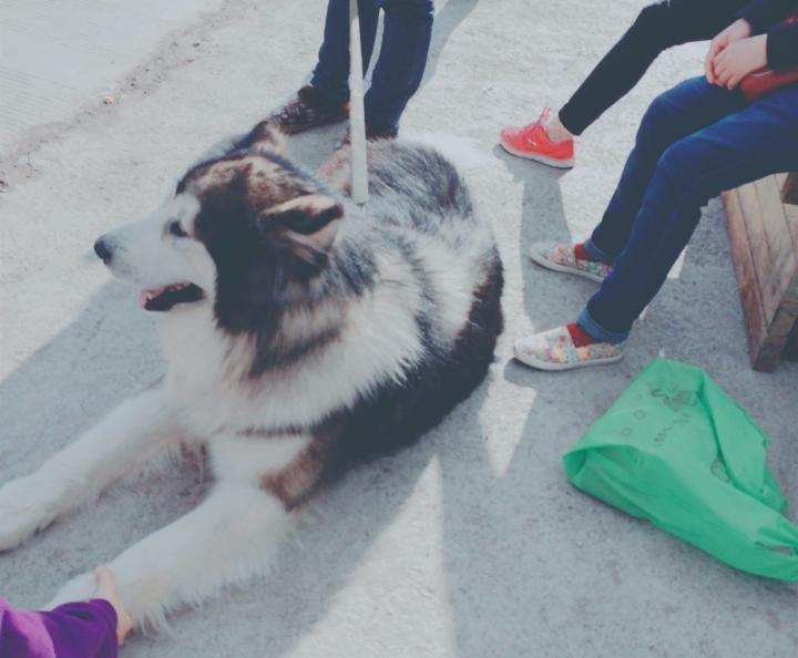 把妹实战聊天约会案例：丽江之旅，八天四段关系