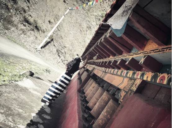 把妹泡妞案例-她知道自己迟早会死，所以活得恬不知耻