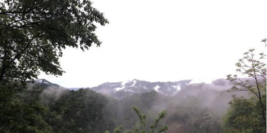 把妹泡妞案例-她知道自己迟早会死，所以活得恬不知耻