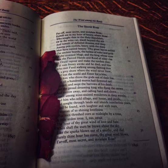 追女生聊天案例-纽约到成都，跨越1万1千公里的情缘